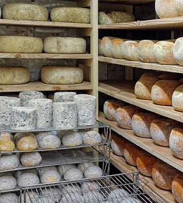 Fromagerie de mère en fille